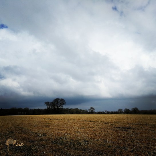 IMG_20180401_140848_347