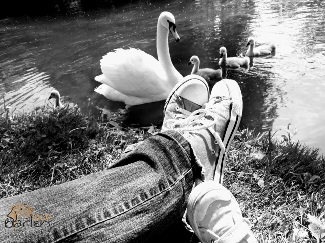 IMG_20180606_150849_1-EFFECTS