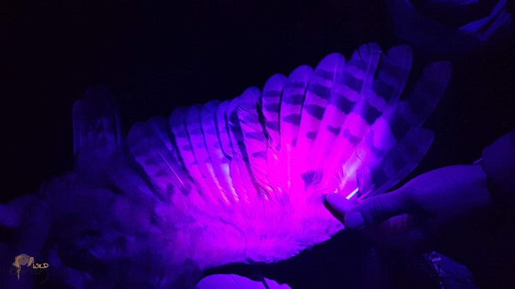 20180929_213933