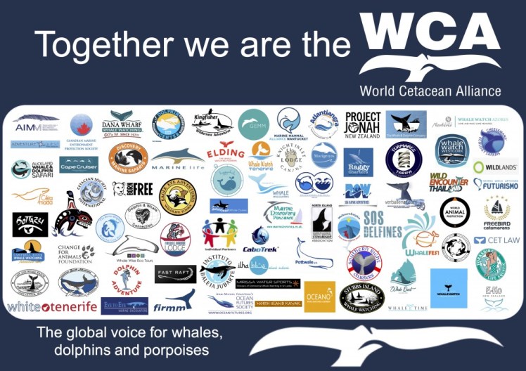 Partner-Poster-A2-size-22032018-1024x724