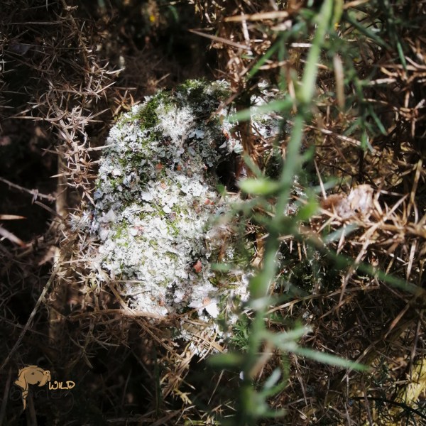 IMG_20190323_132218_020